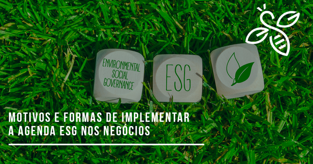 Motivos e formas de implementar a agenda ESG nos negócios