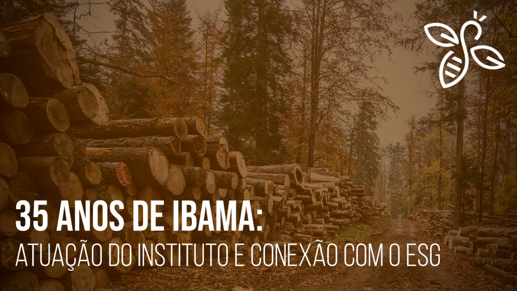 35 anos de Ibama: atuação do Instituto e conexão com o ESG